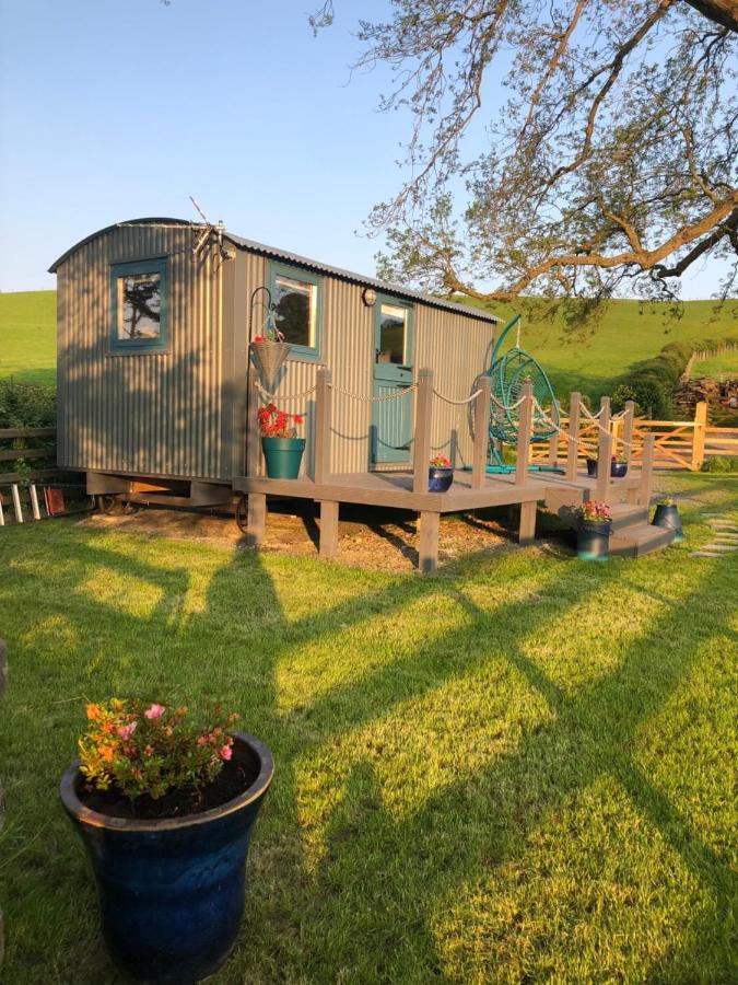 The Peacock Shepherds Hut At Hafoty Boeth Corwen Exterior foto