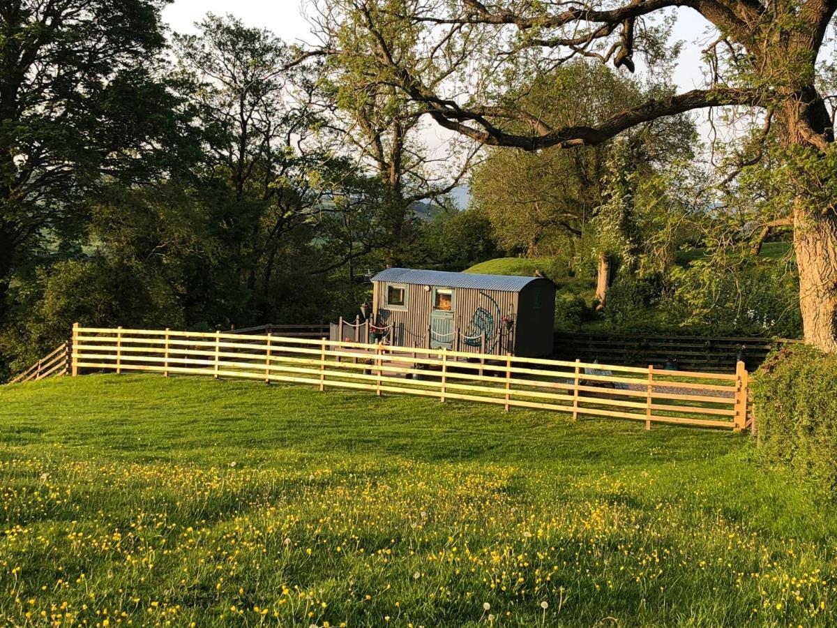 The Peacock Shepherds Hut At Hafoty Boeth Corwen Exterior foto