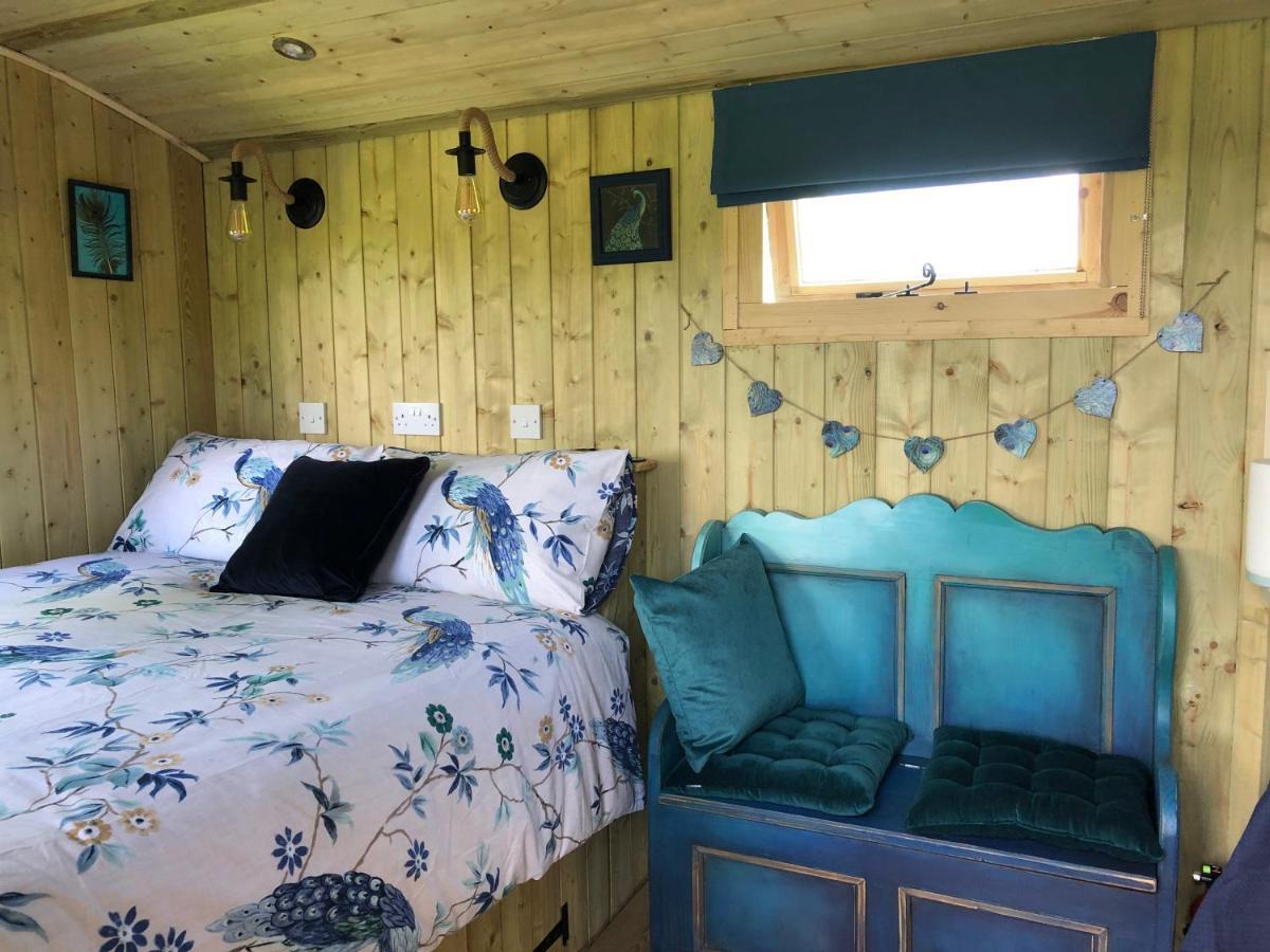The Peacock Shepherds Hut At Hafoty Boeth Corwen Exterior foto