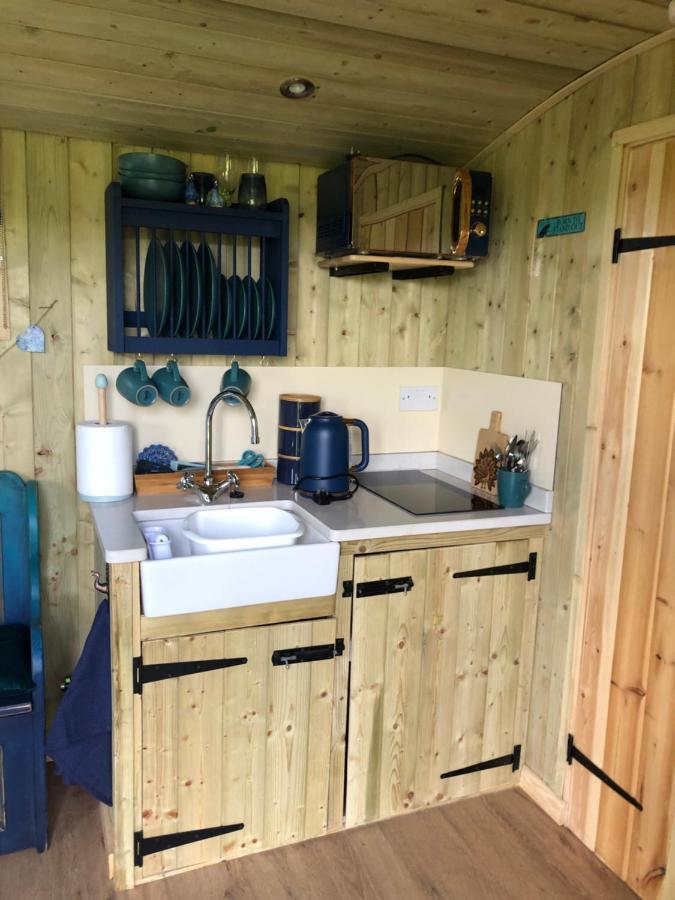 The Peacock Shepherds Hut At Hafoty Boeth Corwen Exterior foto